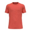 Odlo X-Alp PW 115 T-Shirt Herren